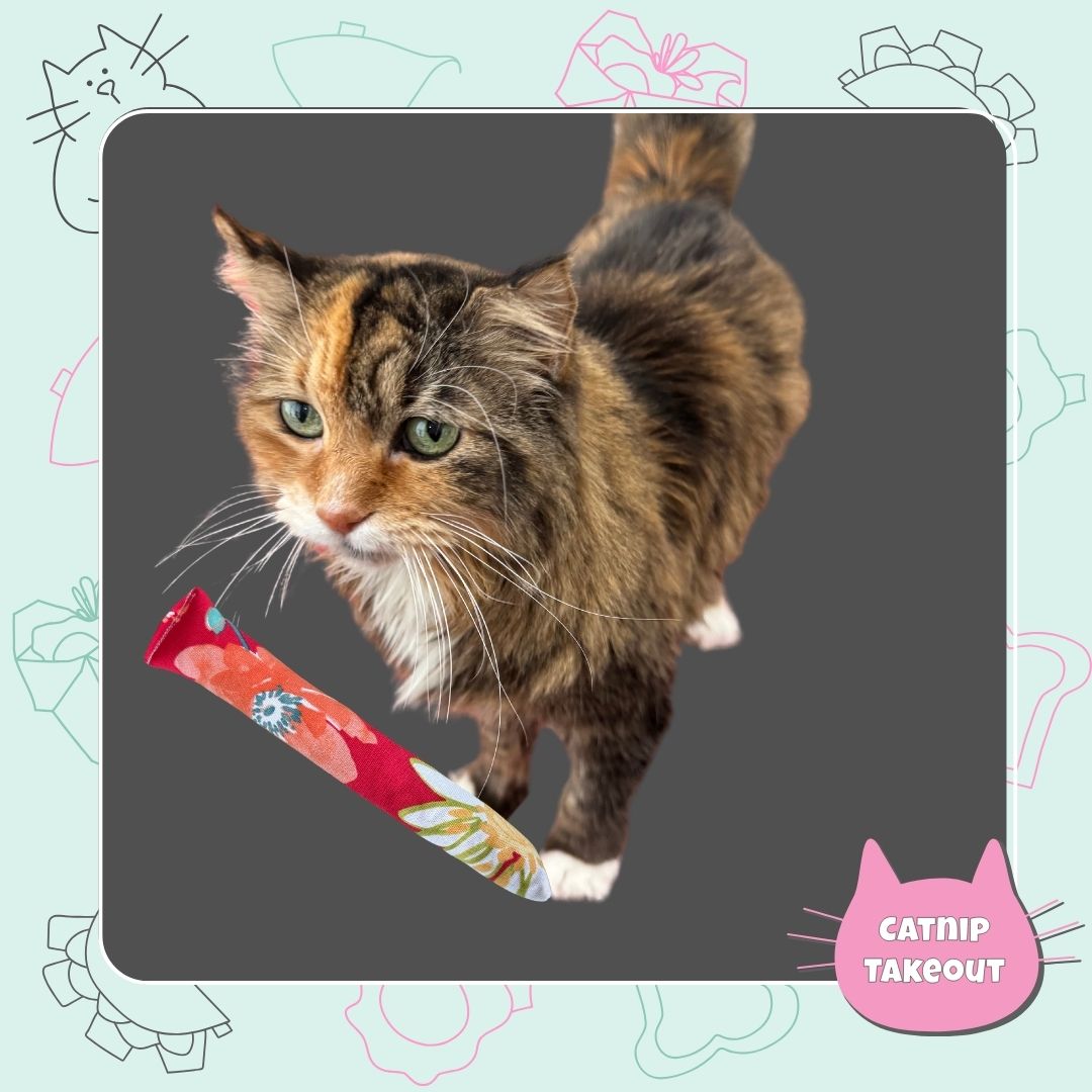 Kicker Catnip Cat Toy | Weekly on the Menu - CatnipTakeout