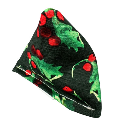 Holly | Happy Sack Catnip Cat Toy from CatnipTakeout - A toy featuring traditional holly leaves and berries on a green background, perfect for festive playtime.