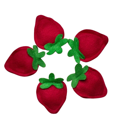 Strawberry Catnip Toy